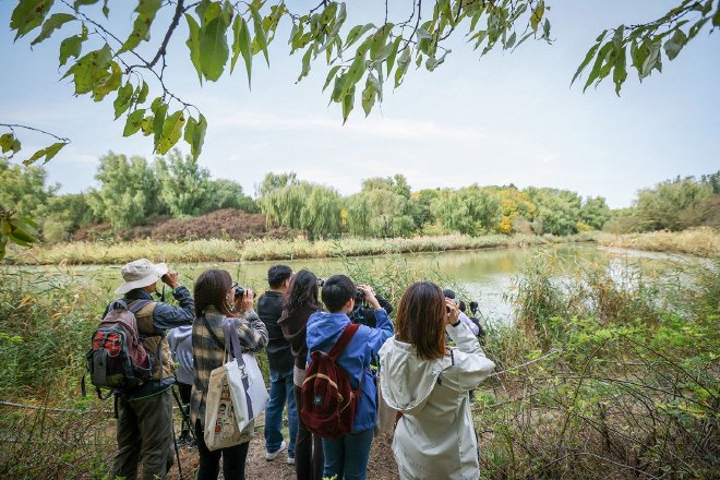 创新贡献城市生物多样性保护 2023奥迪中国自然城市行动成果发布