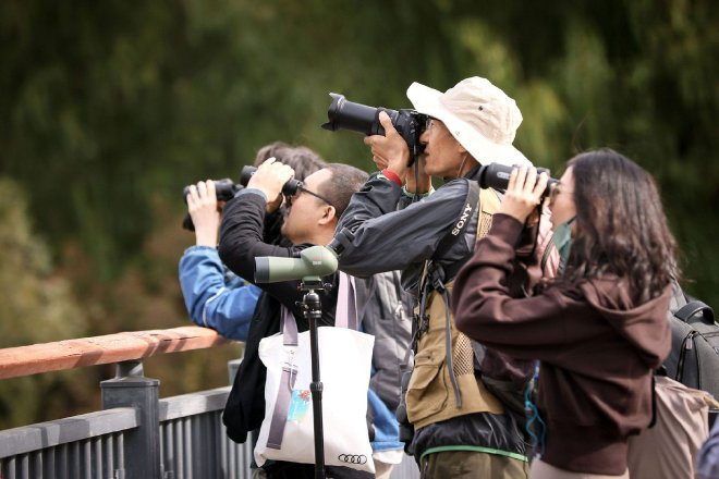 创新贡献城市生物多样性保护 2023奥迪中国自然城市行动成果发布
