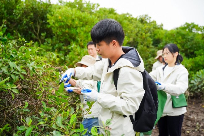 红树林生态体验营在湛江圆满结营