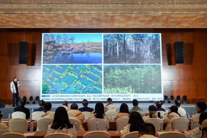 红树林生态体验营在湛江圆满结营