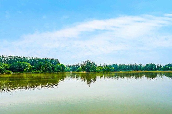 奥迪中国自然城市行动2025城市湿地科普体验，共赴生物多样性之约