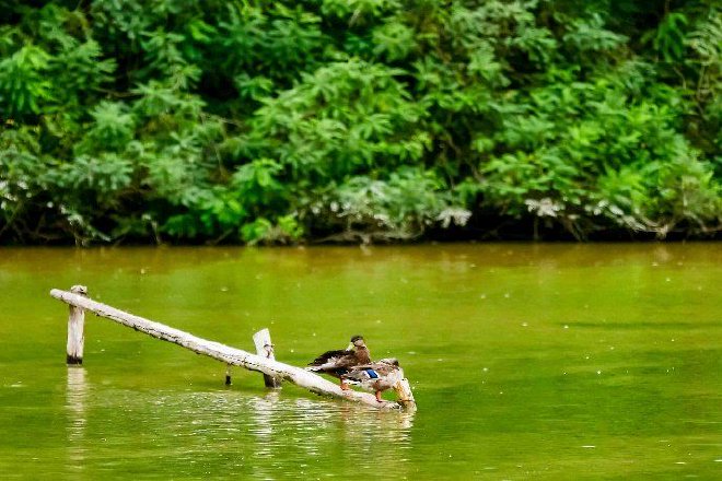 奥迪中国自然城市行动2025城市湿地科普体验，共赴生物多样性之约