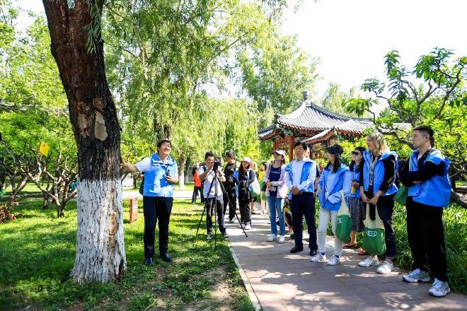 2024年，奥迪中国携手利益相关方共同开启城市古树科普体验活动