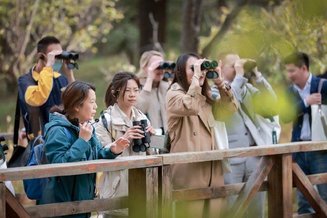 奥迪中国自然城市行动2025城市湿地科普体验，共赴生物多样性之约