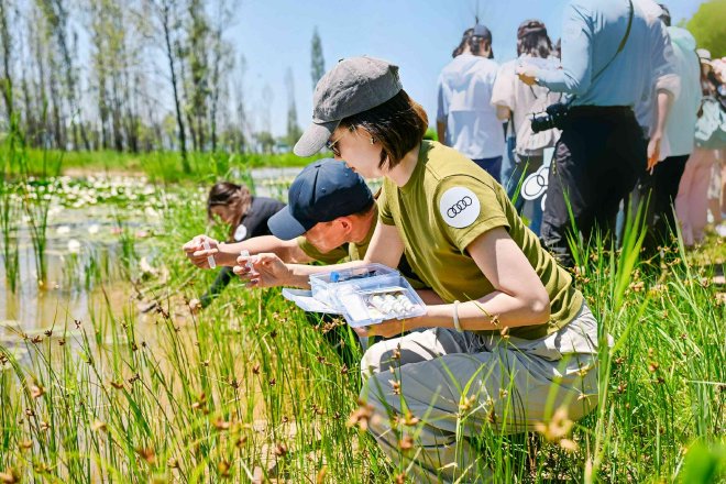 奥迪中国自然城市行动2025城市湿地科普体验，共赴生物多样性之约