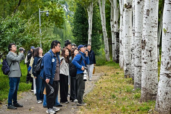 “奥迪中国自然城市行动 ”携手北京绿化基金会发布《北京自然城市湿地游赏指南》