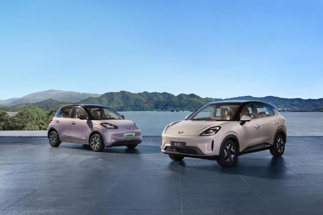 领跑A0级纯电市场 五菱缤果家族累计销量破60万辆