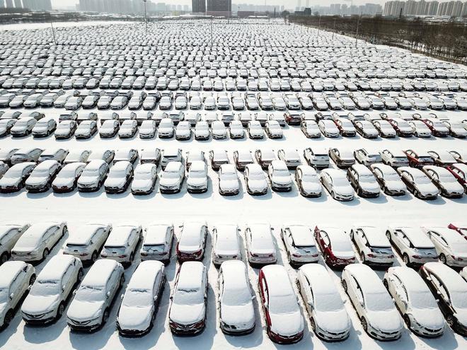 回顾2019 点亮2020|黑猫投诉典型汽车案例答疑解惑