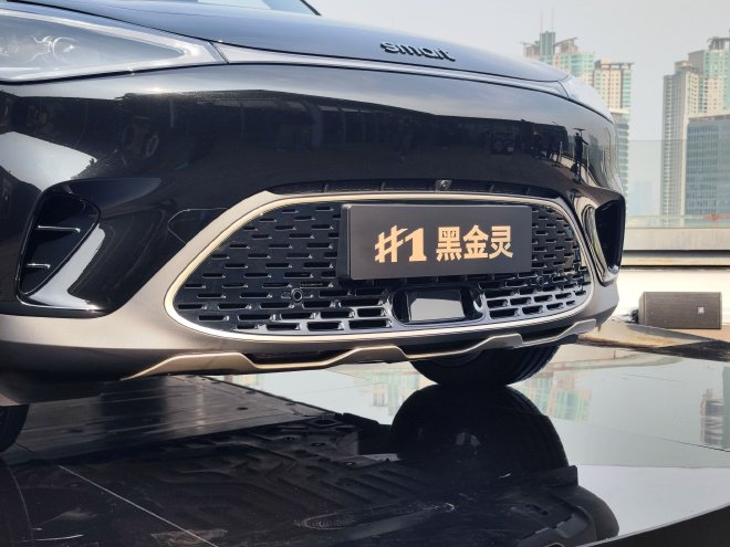 售价21.99万元 smart#1黑金灵限量版上市