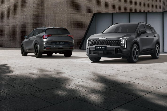 焕新一口价10.99万元起 起亚新款狮铂拓界上市