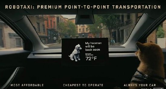 马斯克兜售的梦，圆在中国