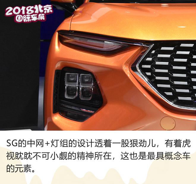 将概念元素进行到底 解析海马SG00