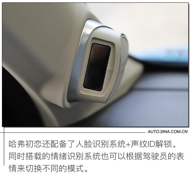 名字很浪漫 静态解析哈弗初恋