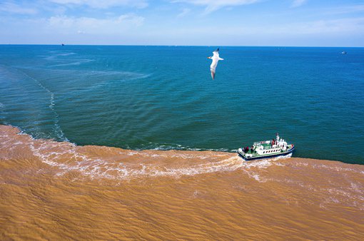 BMW美丽家园行动 捐资支持辽河口、黄河三角洲国家级自然保护区