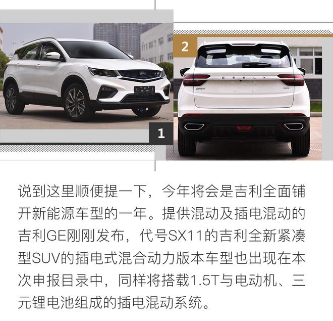 解读307期新车目录 姊妹车/新能源瞩目