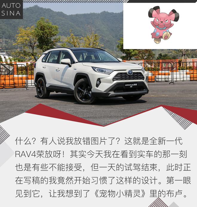 全身细胞的更新 试驾全新一代RAV4荣放