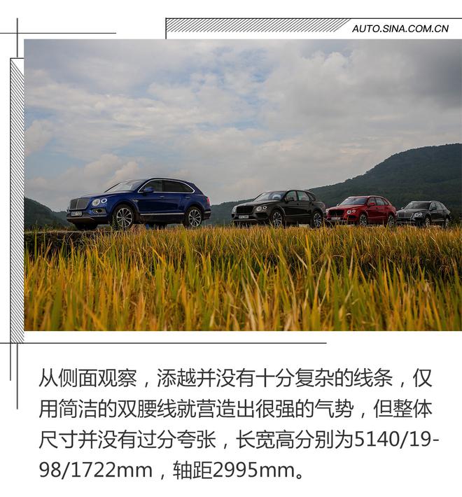 我开着300万元的SUV完成了一次丛林穿越