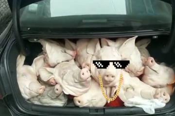 归心似箭 来微博晒晒 #我的春运后备箱#