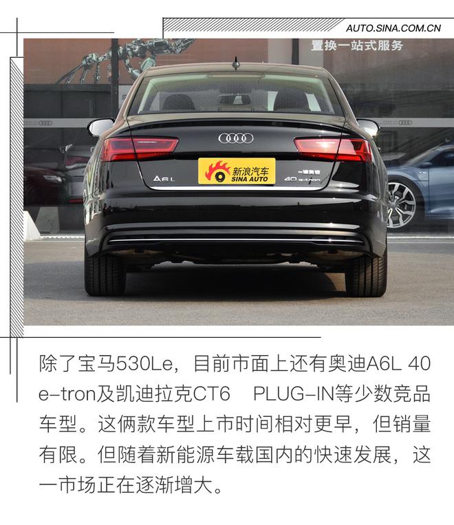 解读307期新车目录 姊妹车/新能源瞩目