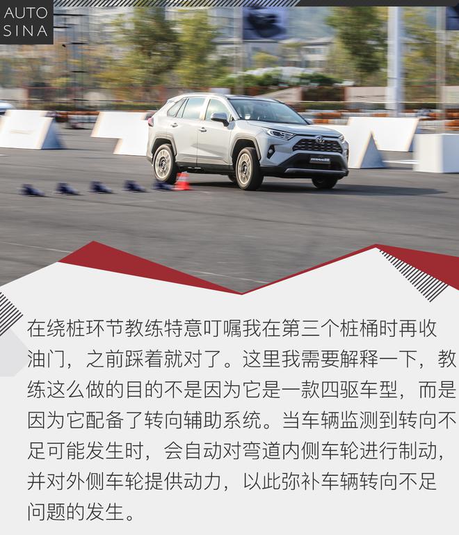 全身细胞的更新 试驾全新一代RAV4荣放