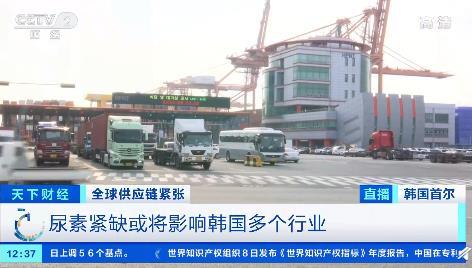 中国出口管制后，韩国陷“尿素危机”