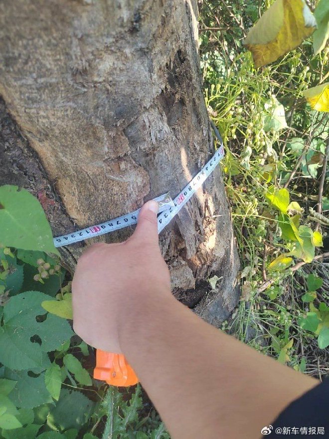 理想汽车回应韩城高速事故 无质量问题