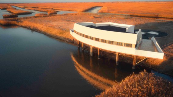 BMW美丽家园行动 捐资支持辽河口、黄河三角洲国家级自然保护区