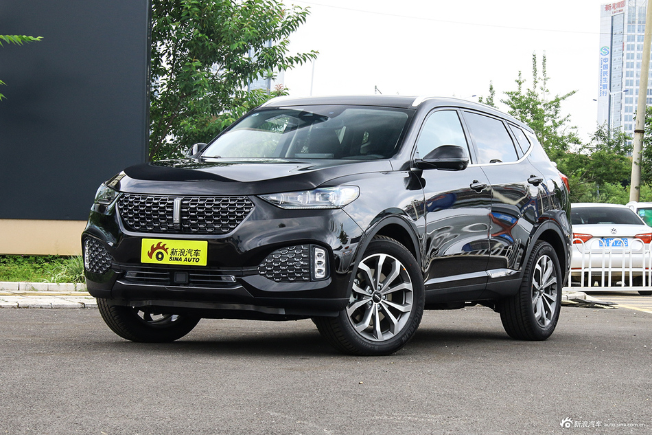 2020款WEY VV6 2.0T两驱智享+