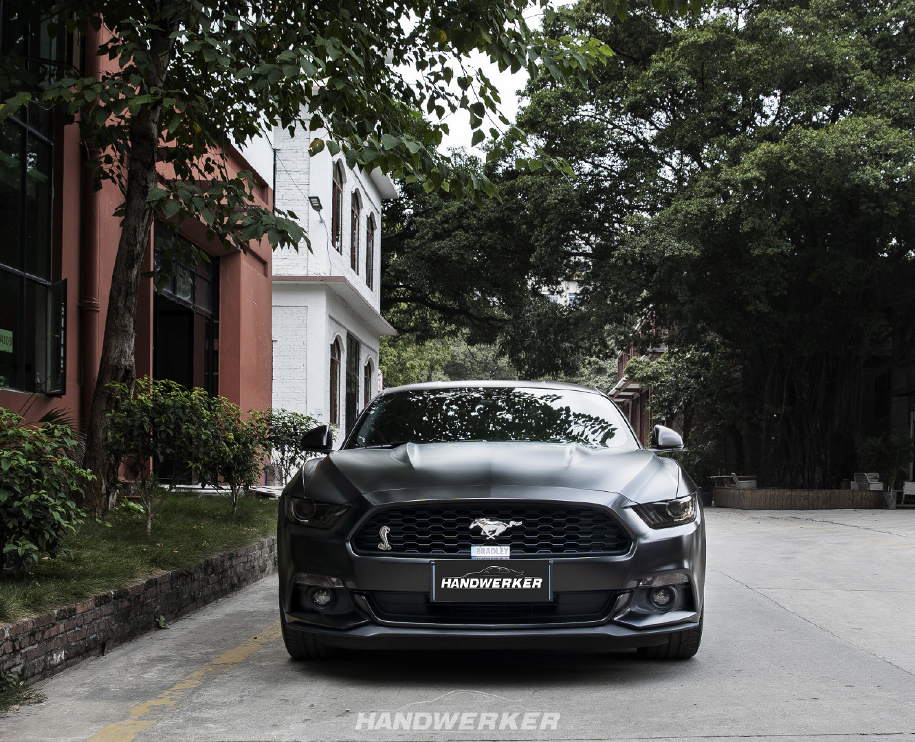 福特mustang   电光黑 这辆改色的黑色坐骑帅到没朋友!