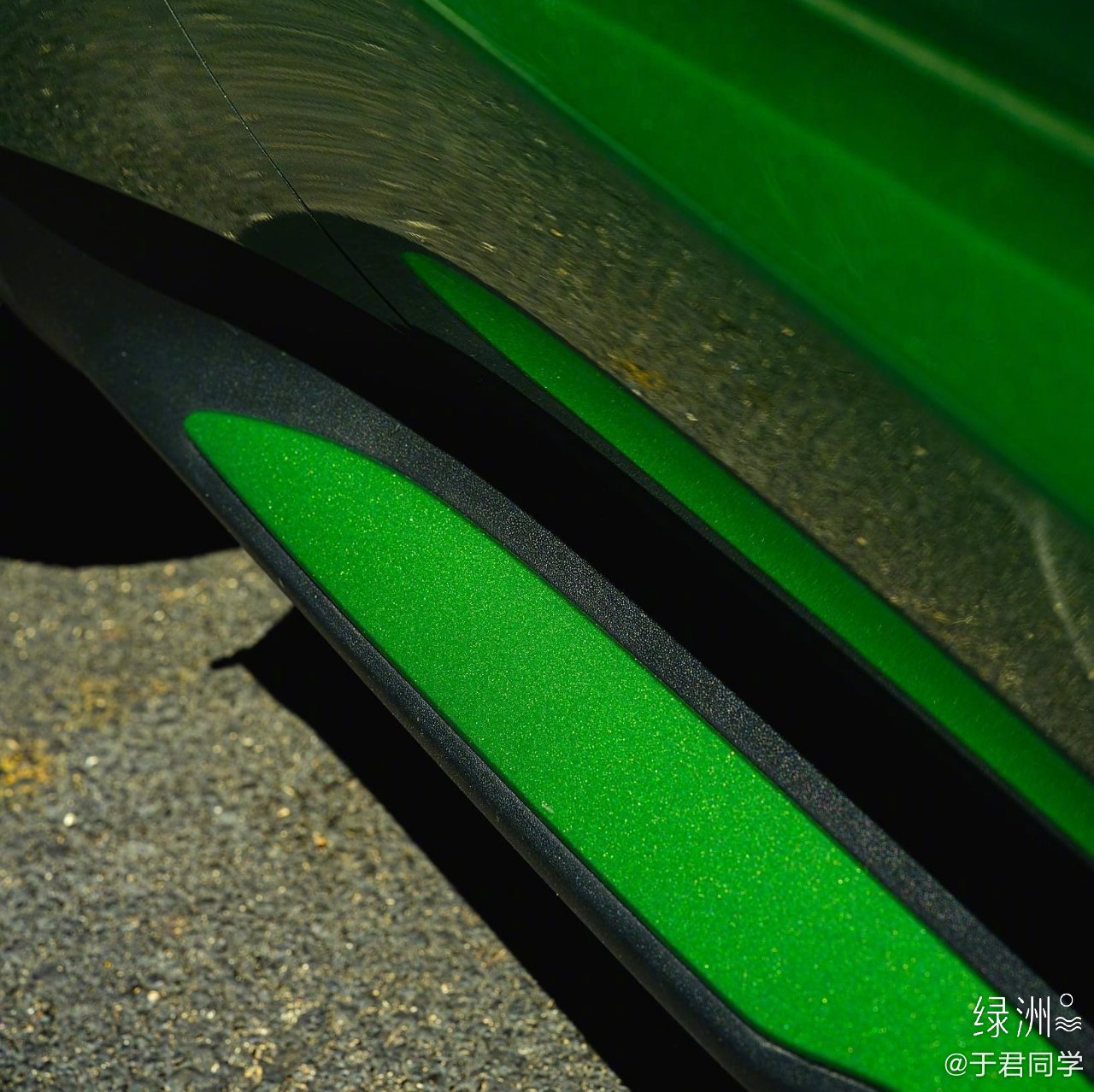 保时捷Taycan一只不会叫的绿青蛙