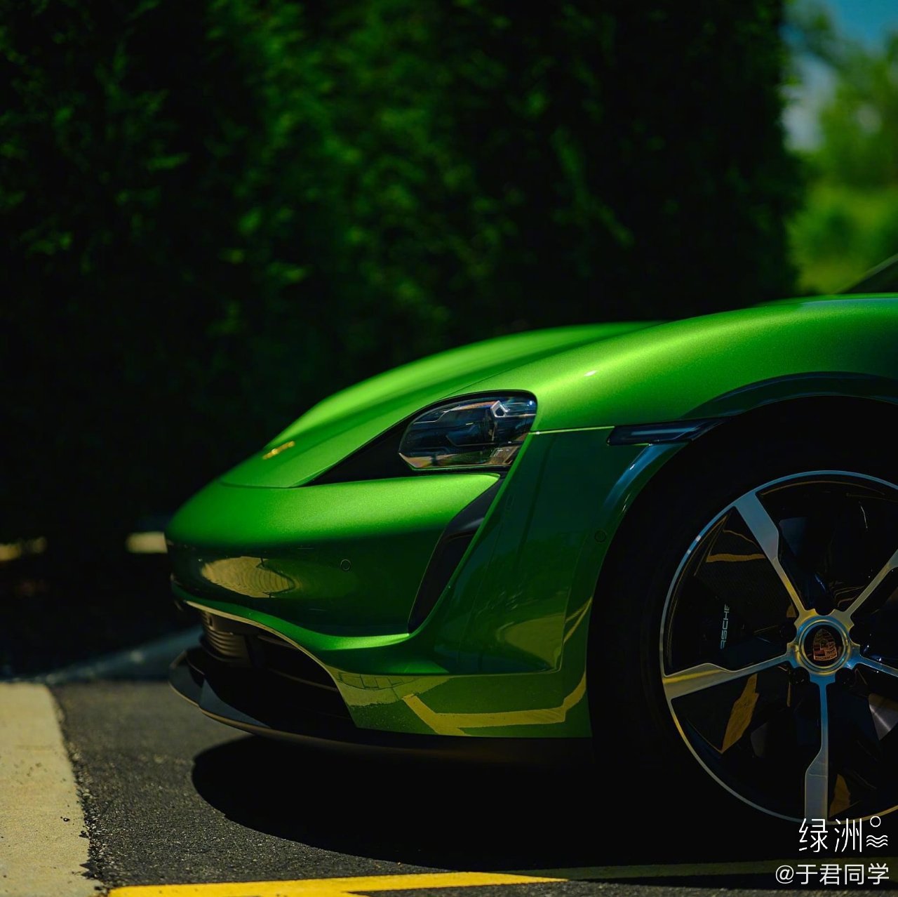 保时捷taycan一只不会叫的绿青蛙