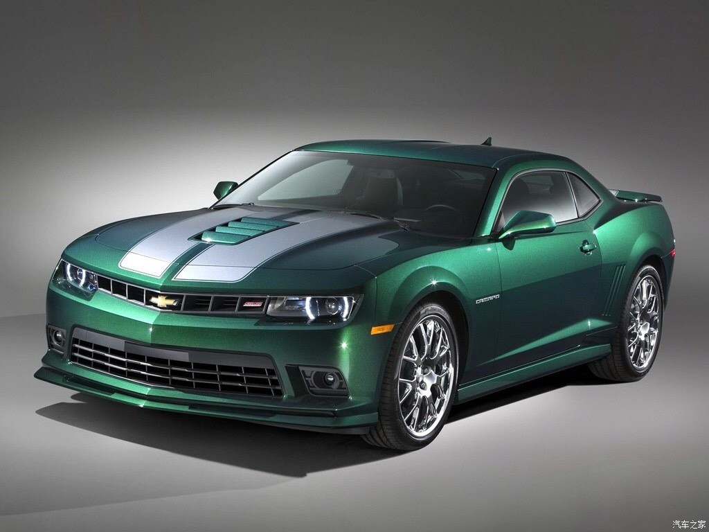 科迈罗：多彩大黄蜂