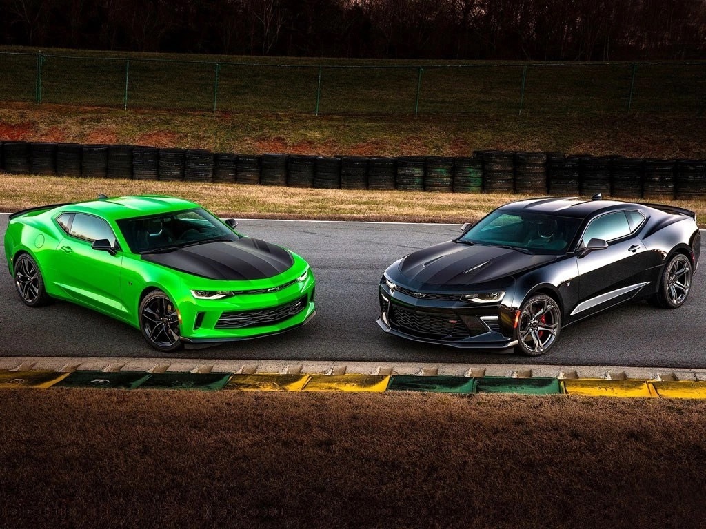 科迈罗：多彩大黄蜂