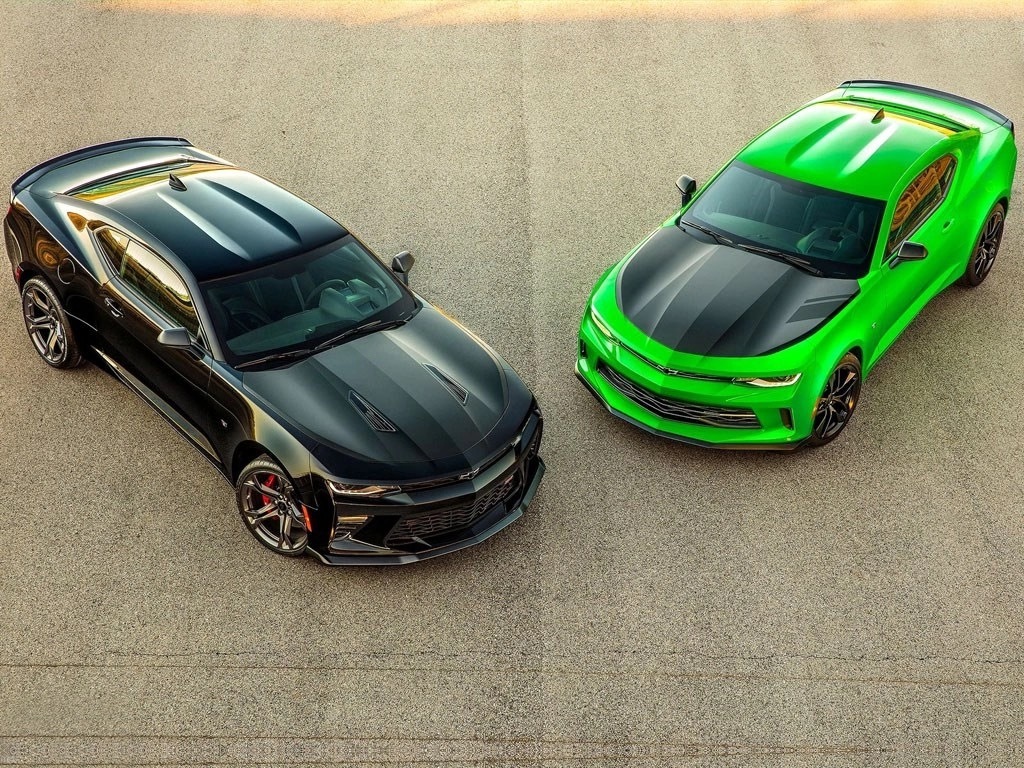 科迈罗：多彩大黄蜂