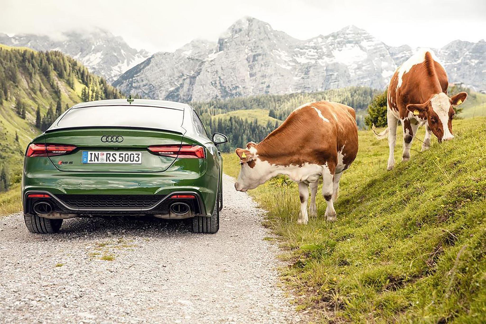 以后奥迪RS5就是我的奋斗目标了！