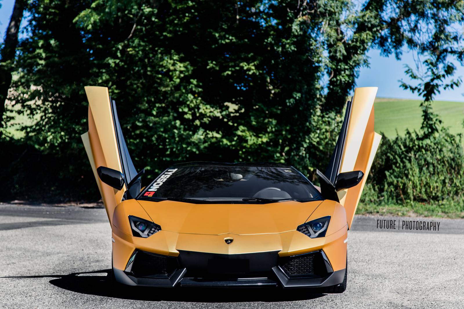 三只大牛，兰博基尼Aventador。