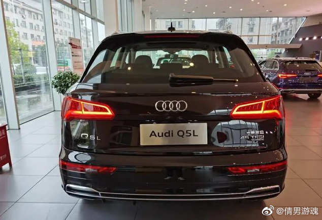 奥迪车尾灯组合大全，宝马和奔驰骂骂咧咧的退出了群聊！