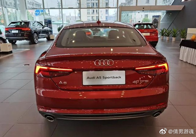 奥迪车尾灯组合大全，宝马和奔驰骂骂咧咧的退出了群聊！