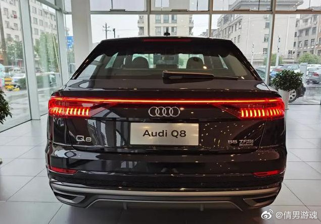 奥迪车尾灯组合大全，宝马和奔驰骂骂咧咧的退出了群聊！