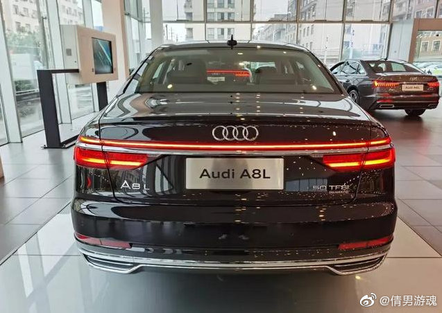 奥迪车尾灯组合大全，宝马和奔驰骂骂咧咧的退出了群聊！