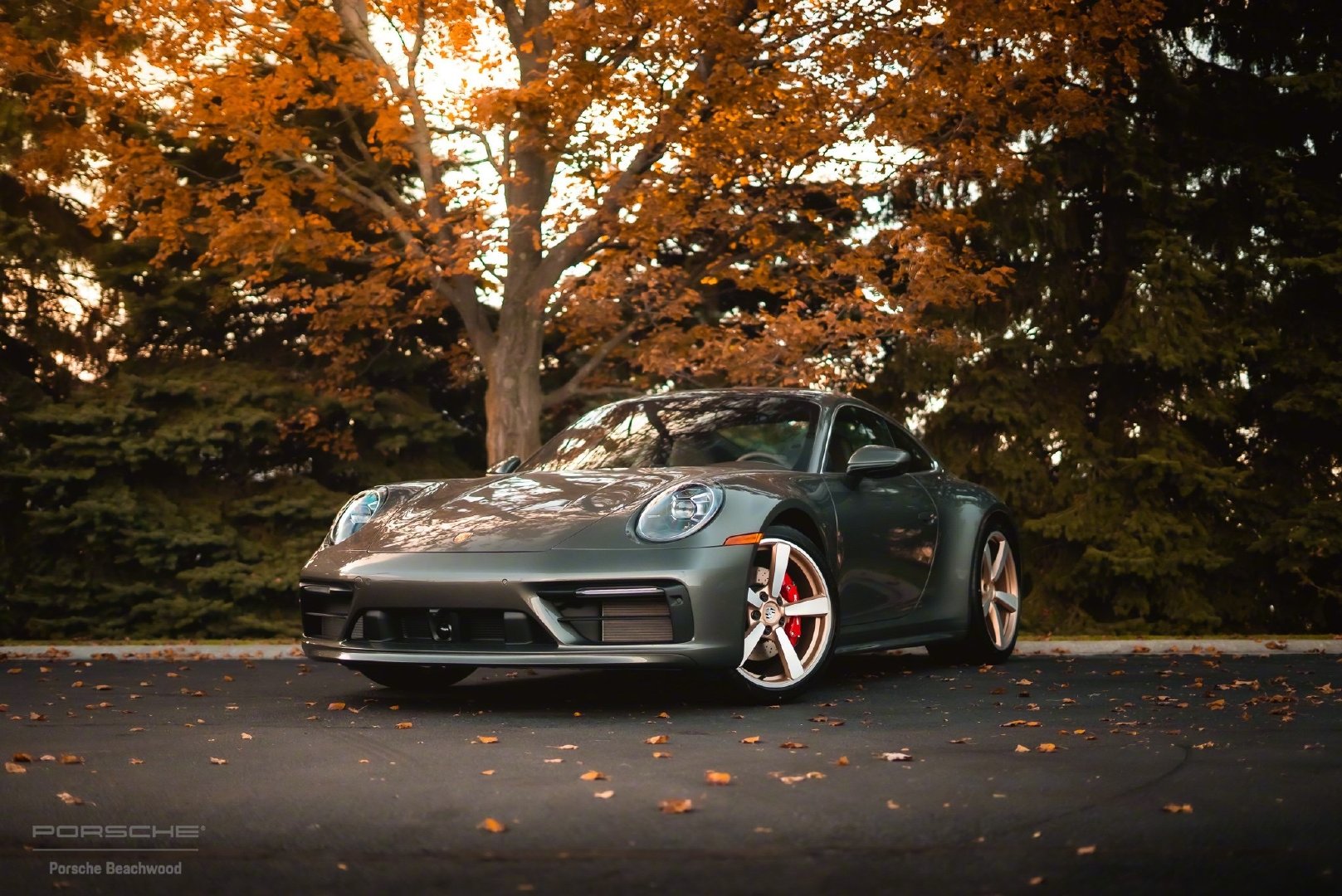 秋日与你总是很配！Porsche 911 (992)