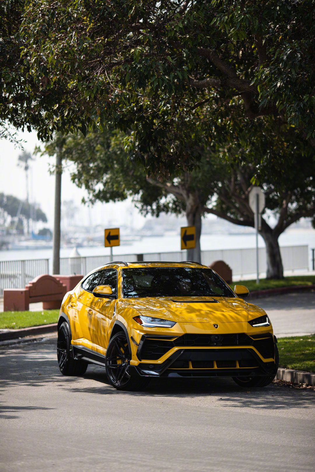 Lamborghini Urus 超凡动力野性十足!