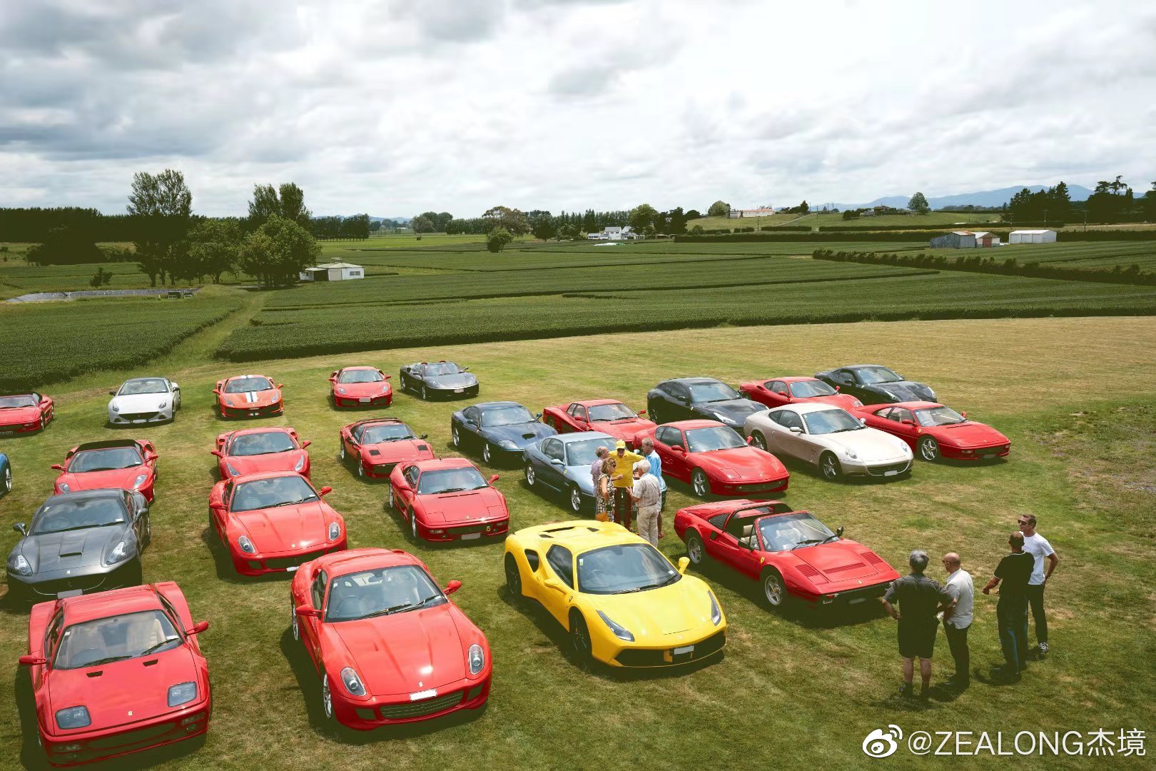 早安   法拉利车友会品春茶 体验速度与激情