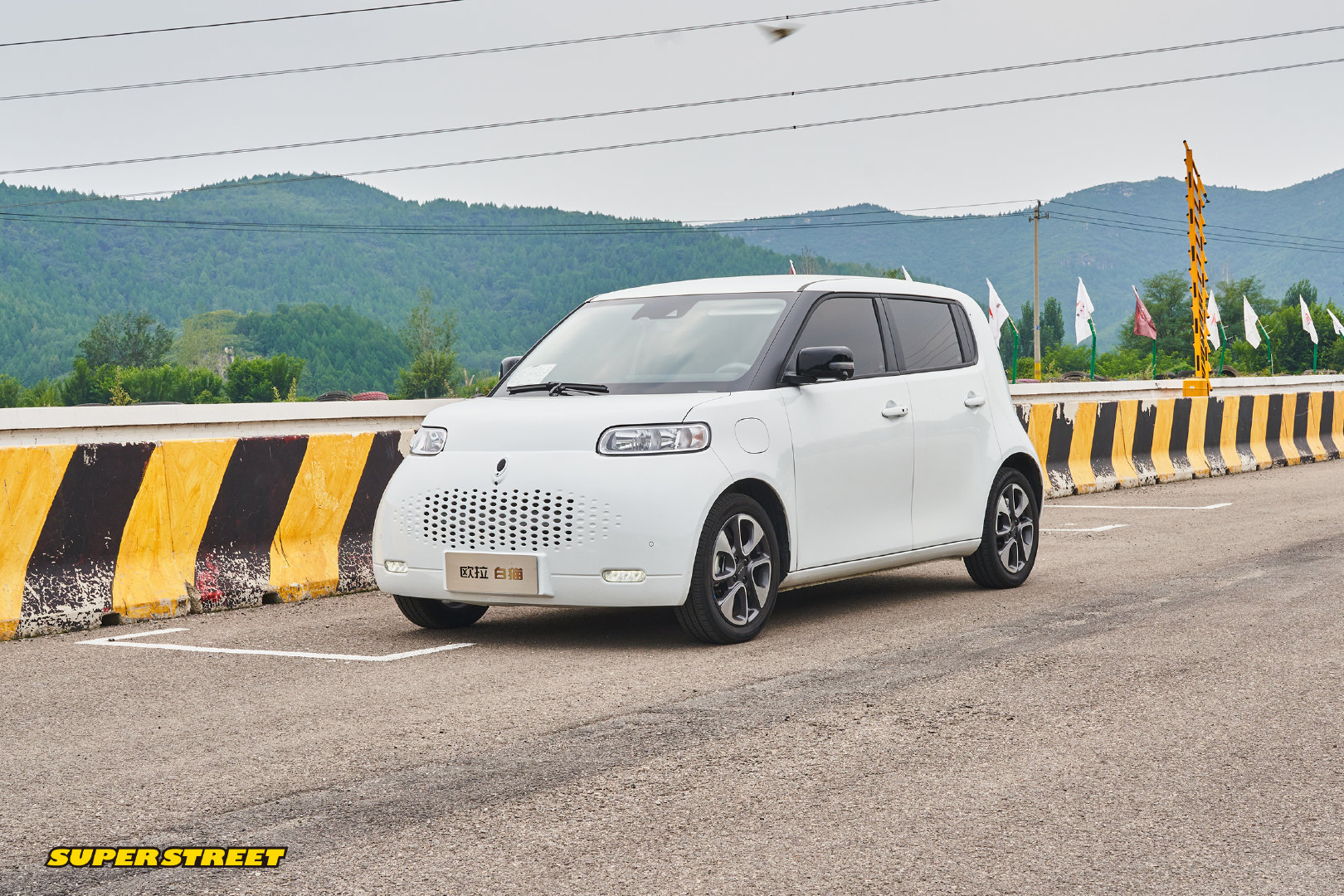 饲猫少年带着欧拉白猫飞驰赛车场。欧拉白猫