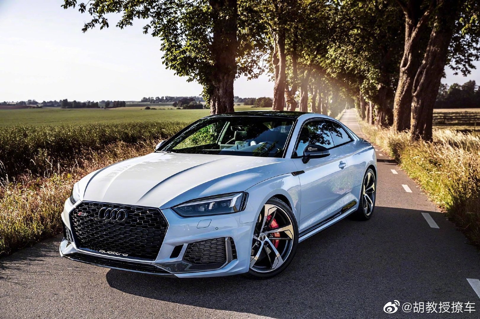 奥迪rs5:实车真的太漂亮了!