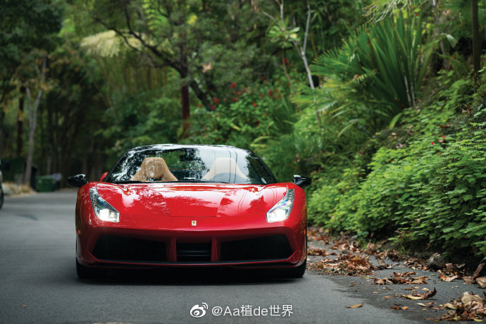 汽车美图赏析：只有红色才是法拉利的魂