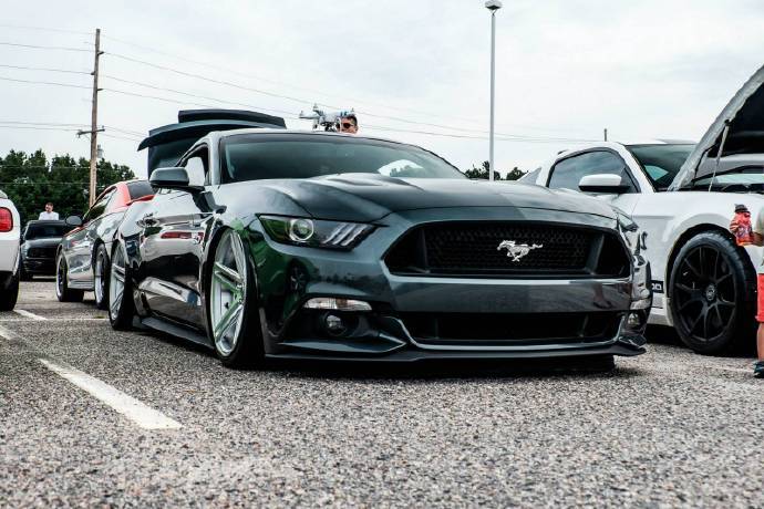 一大波野马Mustang 狂野来袭！