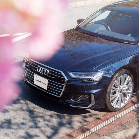 汽车美图赏析：Audi A6 Avant，樱花树下