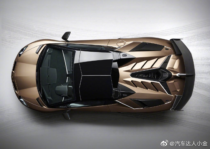 Aventador SVJ Roadster，外形就很酷炫，低调的铂金色。