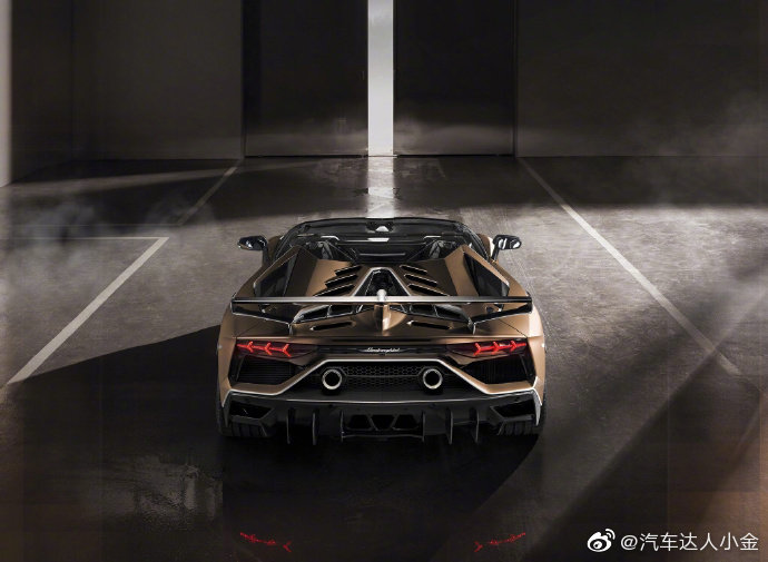 Aventador SVJ Roadster，外形就很酷炫，低调的铂金色。